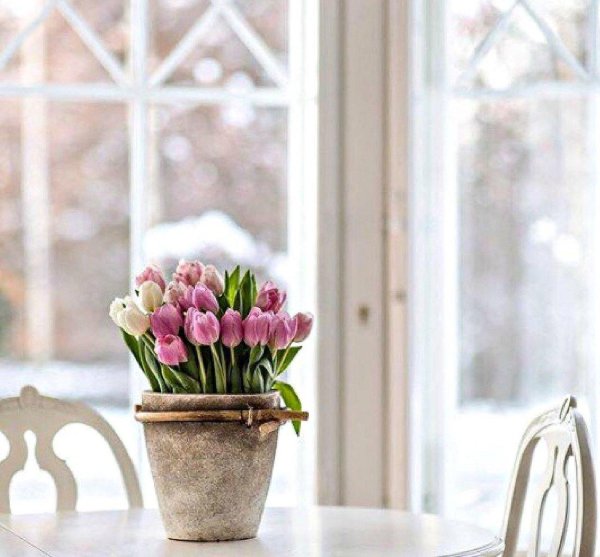 доброе утро цветы зима уют