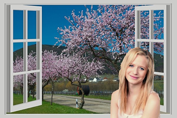 весна за окном