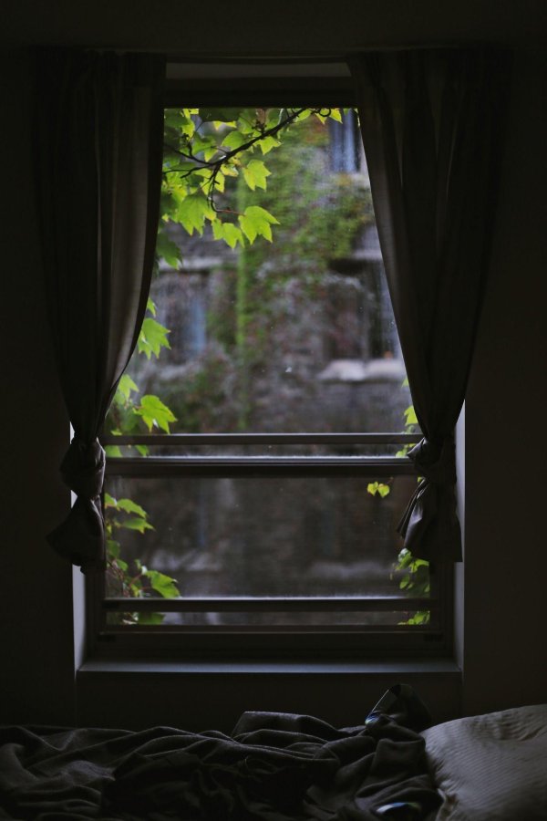 Весна из окна