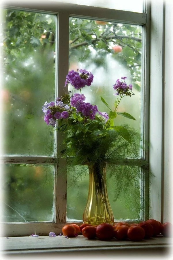 натюрморт на окне