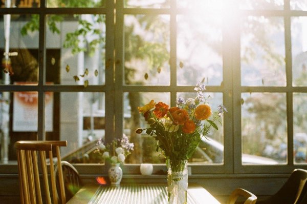 утро из окна