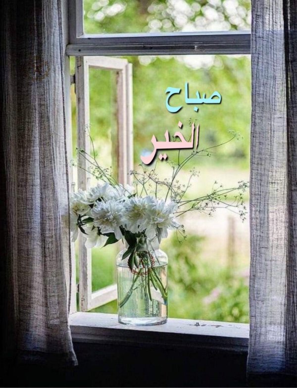 весна за окном