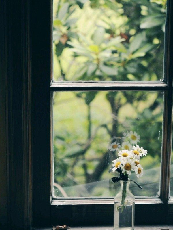 окна красивые