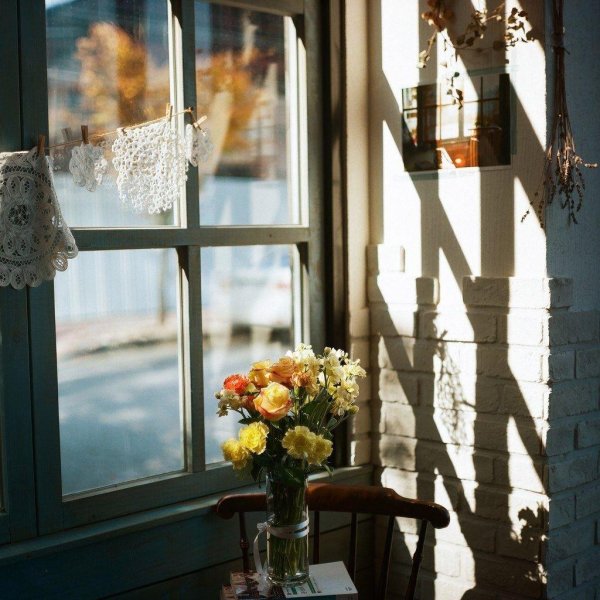 окна красивые