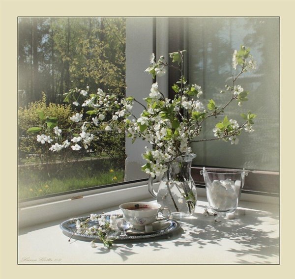 луиза гельтс фотонатюрморты