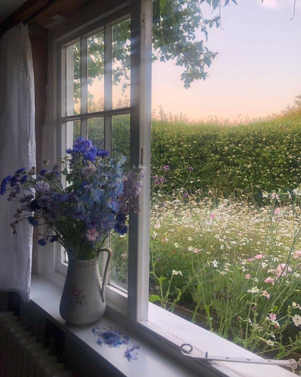 летнего утра