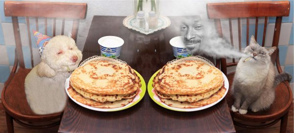 блины смешные