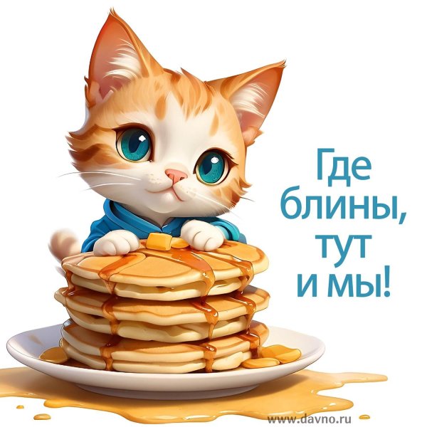 кот и блины