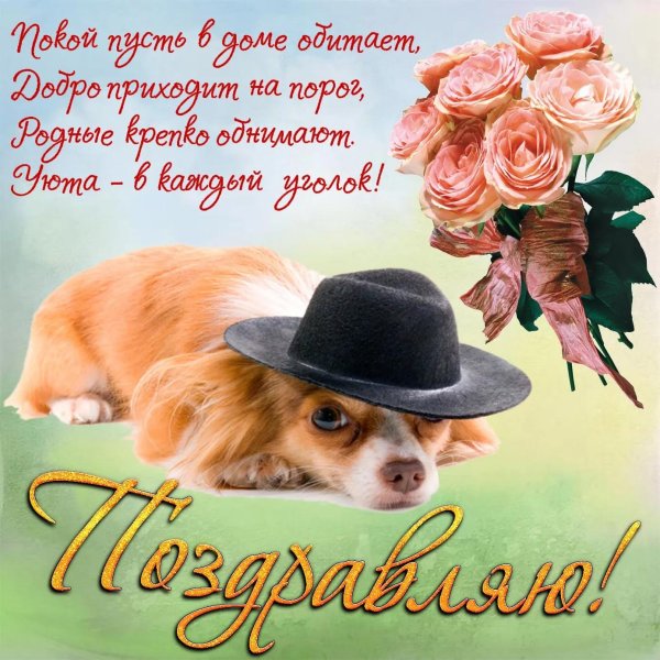 поздравительные открытки с собаками