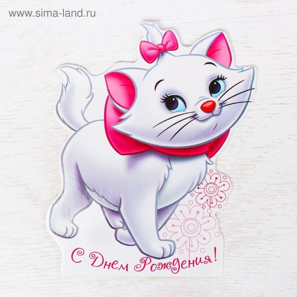 кошечка мари