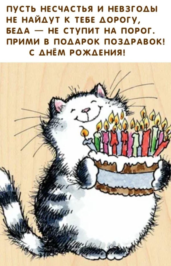 с днем рождения котик