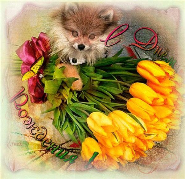 с праздником