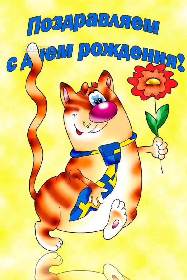 день рождения прикольные поздравления