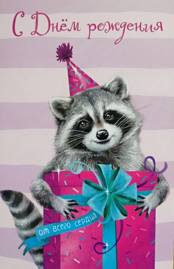 с днем рождения енотик