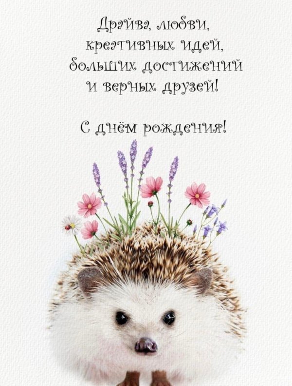 постеры с ёжиком