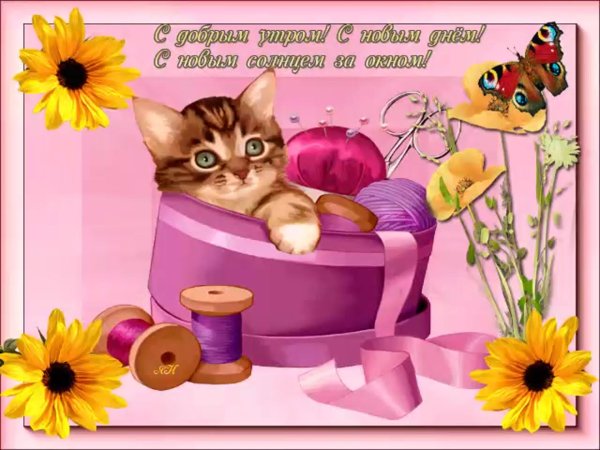 пожелания с добрым у ром