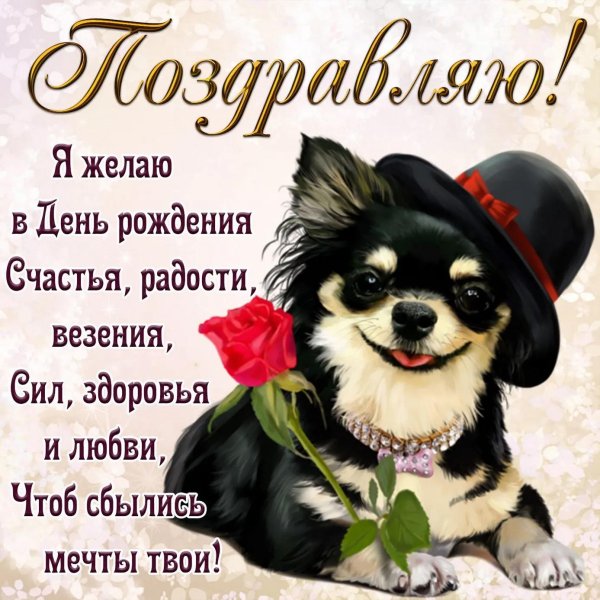 поздравление с днём рождения с собакой