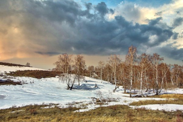 поздняя осень