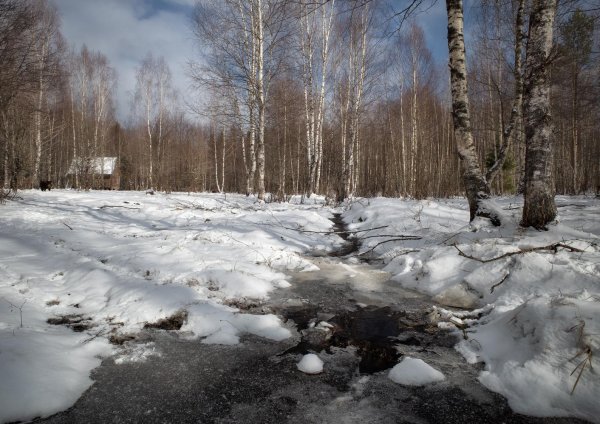 природа ранней весной