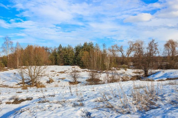 весенняя проталинка левитана