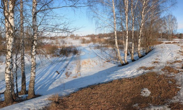 весенние проталины