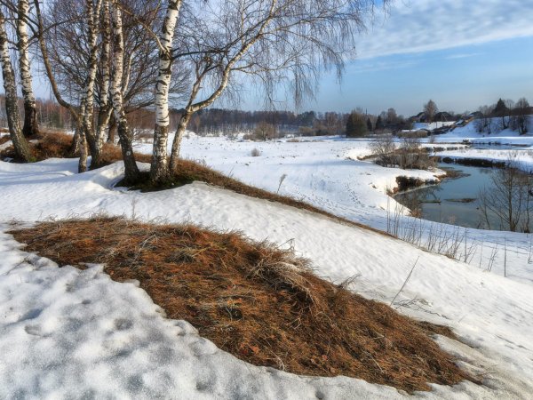 весна проталинки
