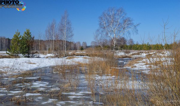 проталины на полях