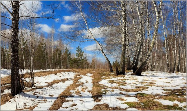 весенняя проталинка левитана