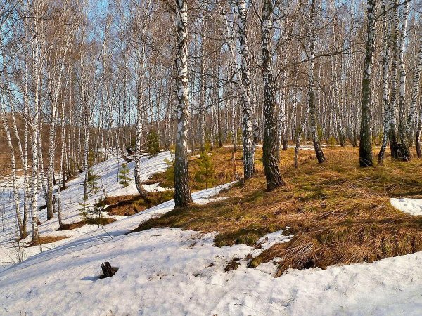 апрельские проталины