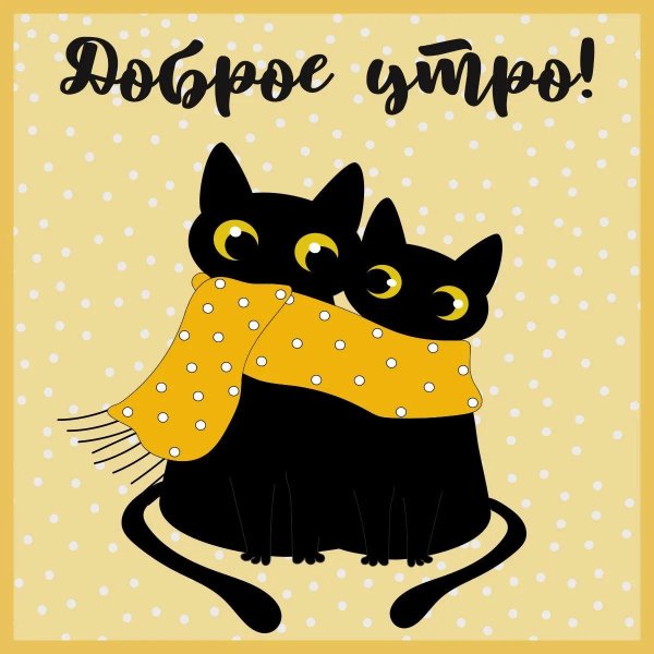 доброго утра с котиками
