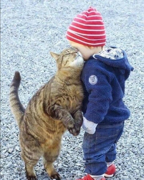 ребенок с кошкой