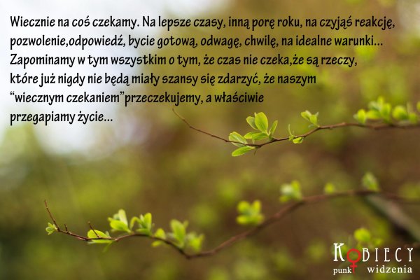 весенняя листва