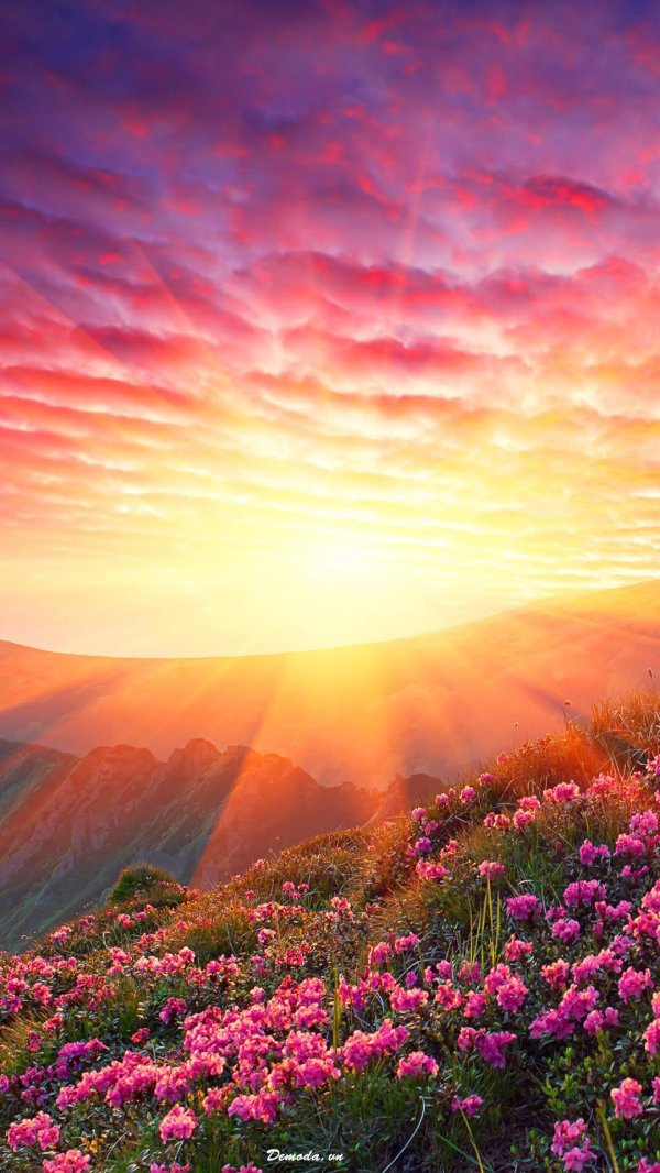 красивые рассветы