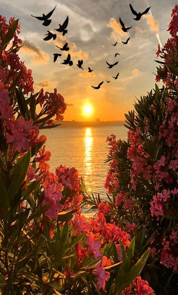 чудесный закат