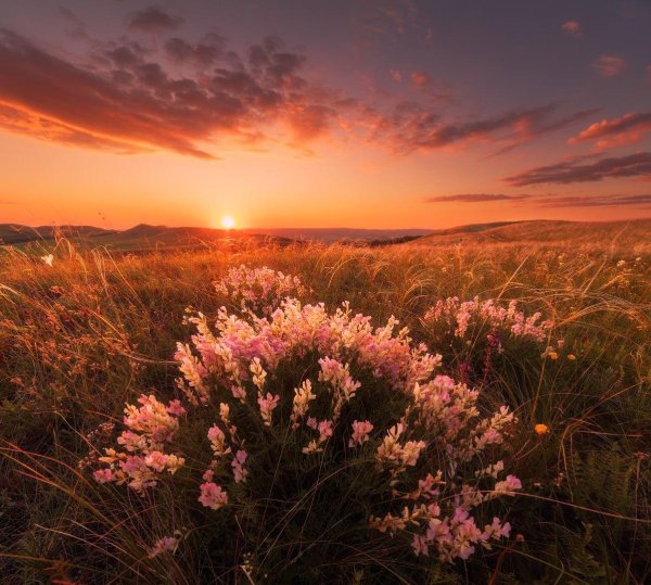 красивые рассветы