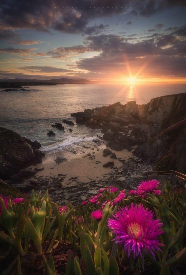 удивительная природа