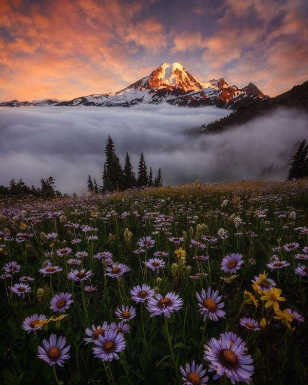 красивейшие пейзажи мира