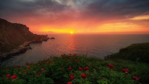 море и рассвет