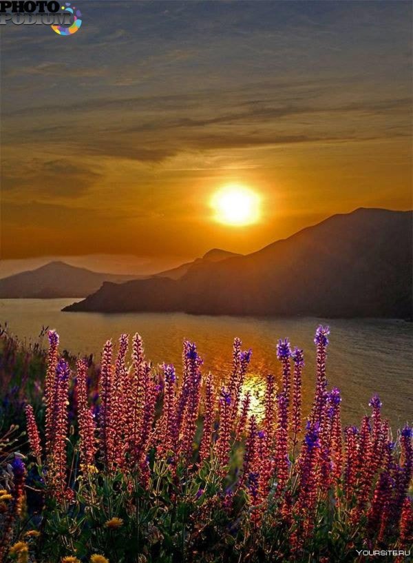 красивый восход