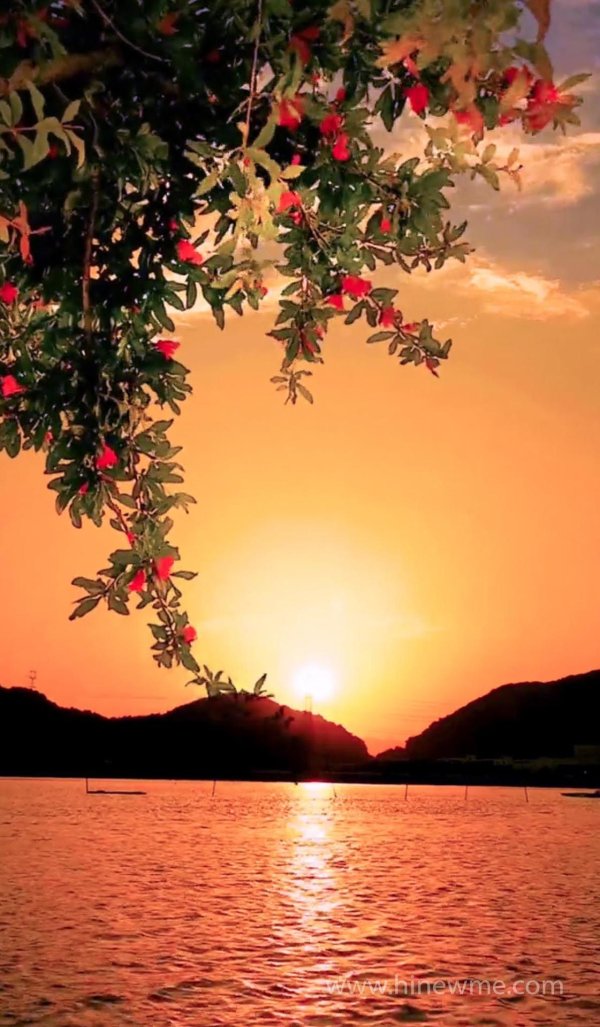 романтические пейзажи