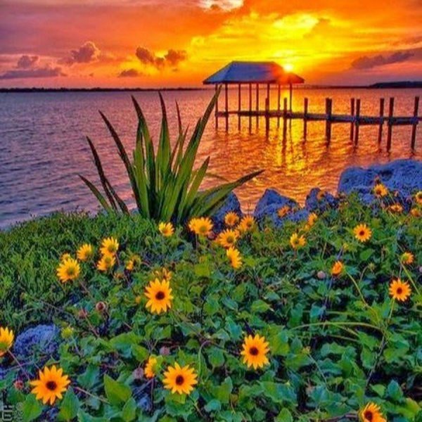 sunrise sunset sunrise