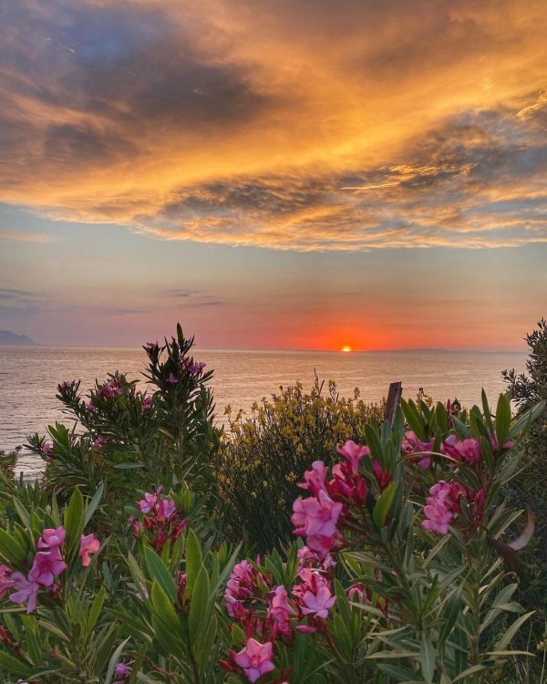 пейзажи летние