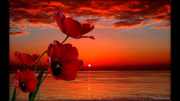 закат красный