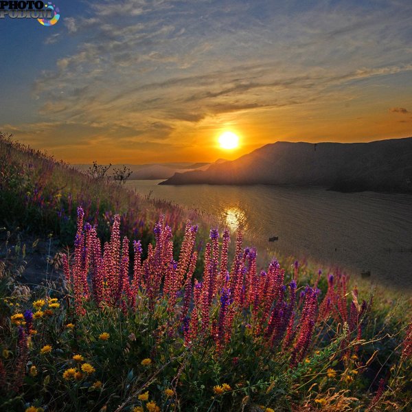 красивые рассветы