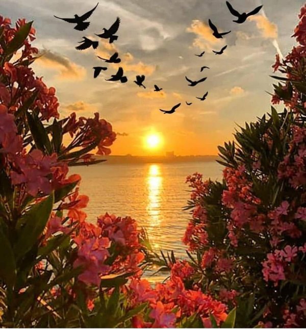 доброго вечера природа