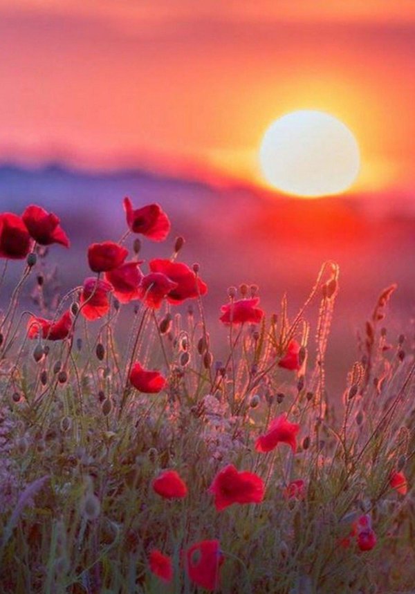 рассвет пейзаж