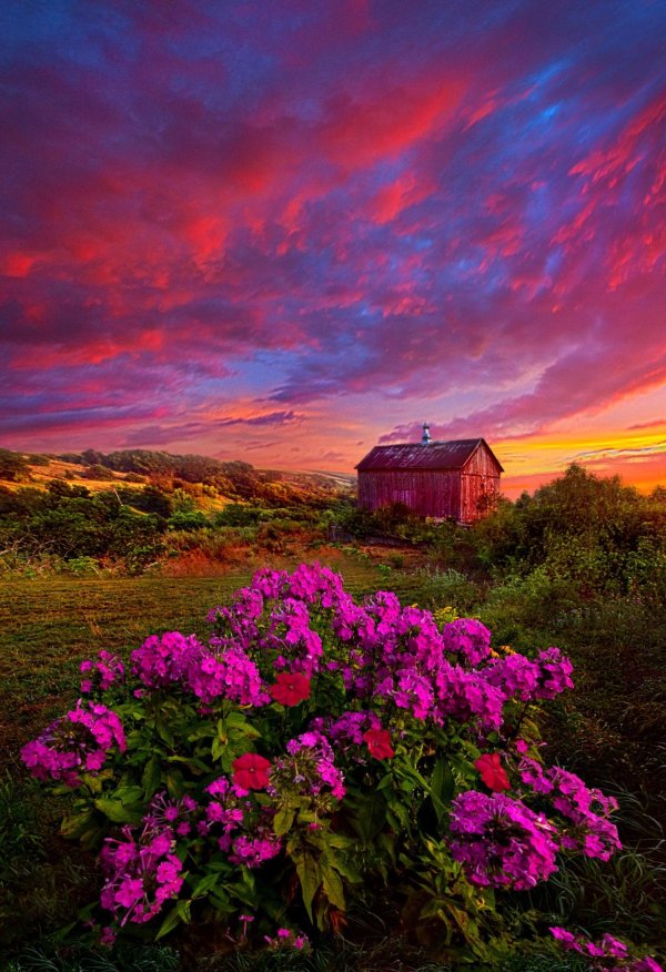 пейзажи красивые