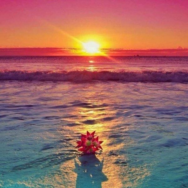 море и солнце