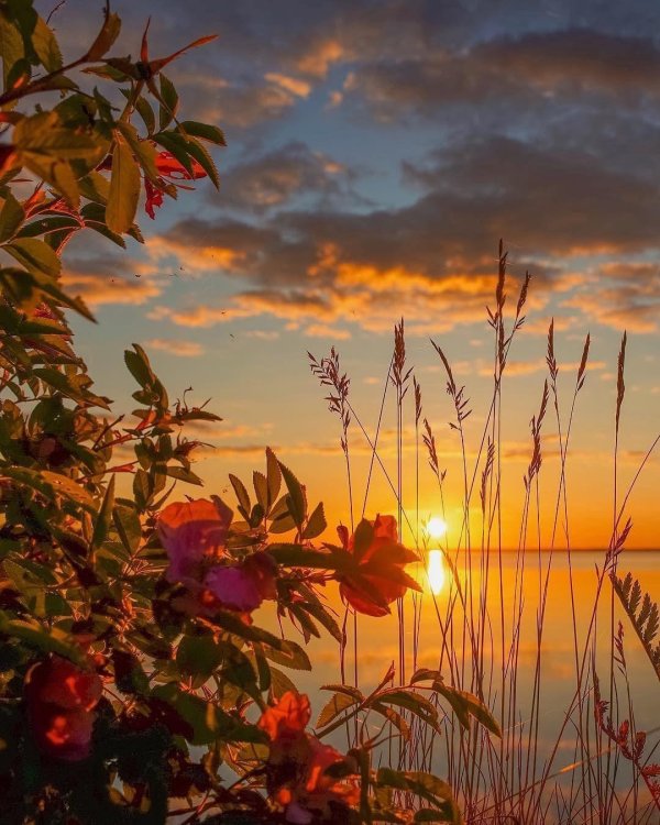 летние закаты