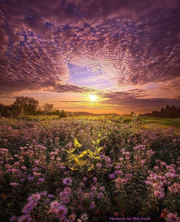 красивые рассветы